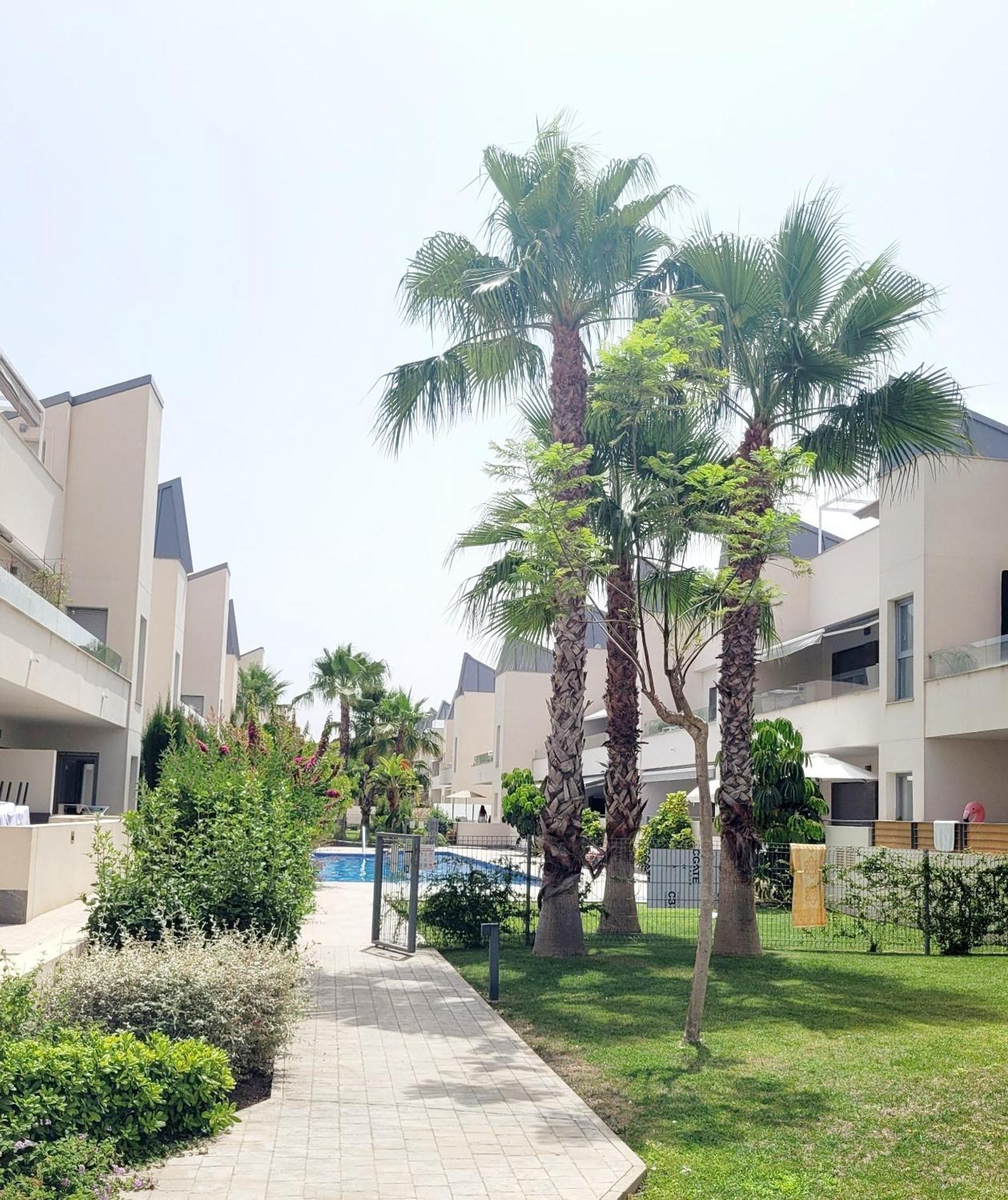 Pmt01 - Modern, Luxury With Heated Pool Apartment Torrevieja Bagian luar foto